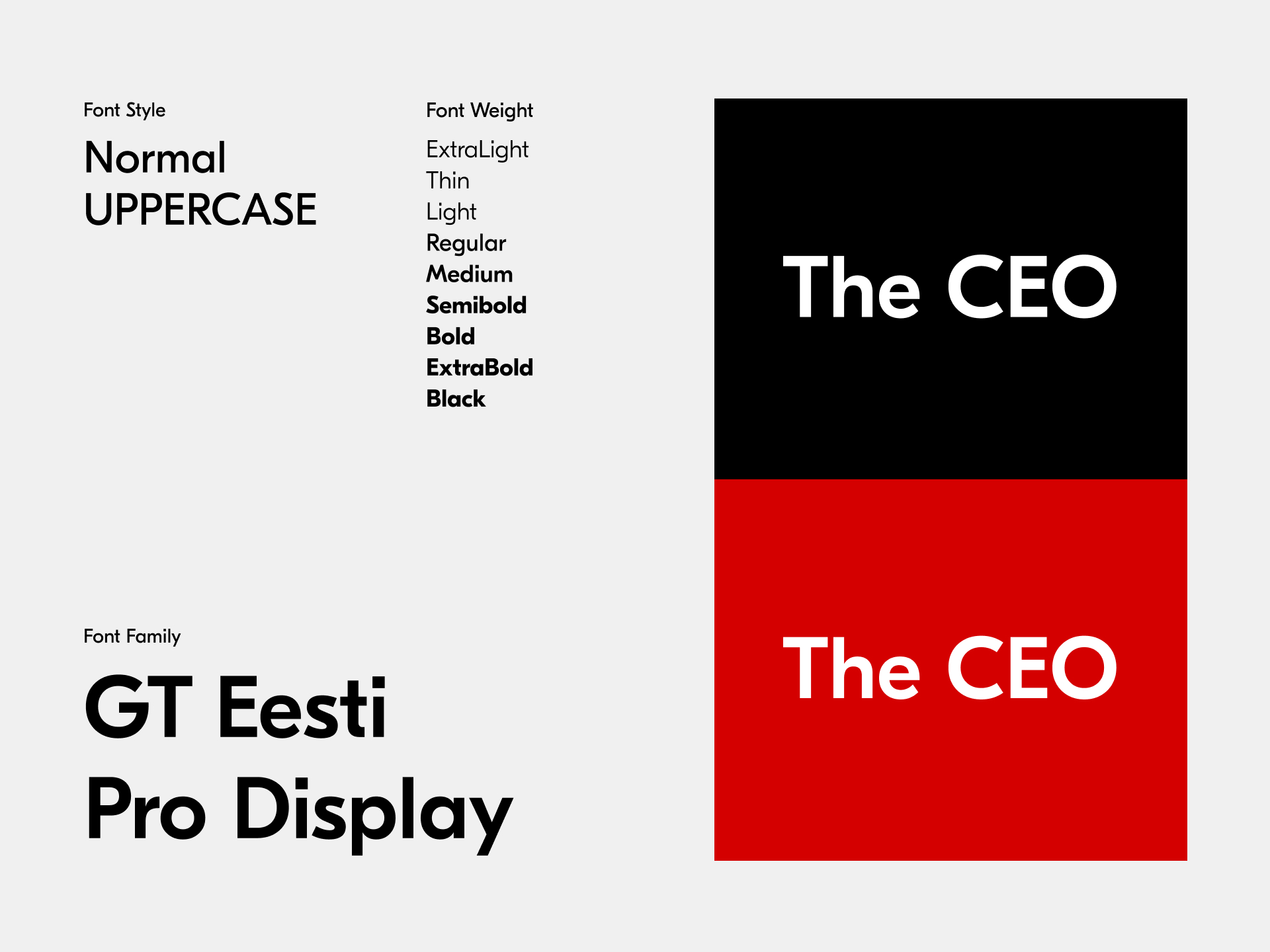 A brand direction built for a consistent media presence.
